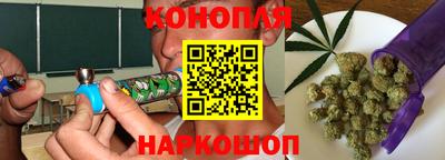 гидра Будённовск