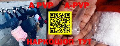 гидра Будённовск